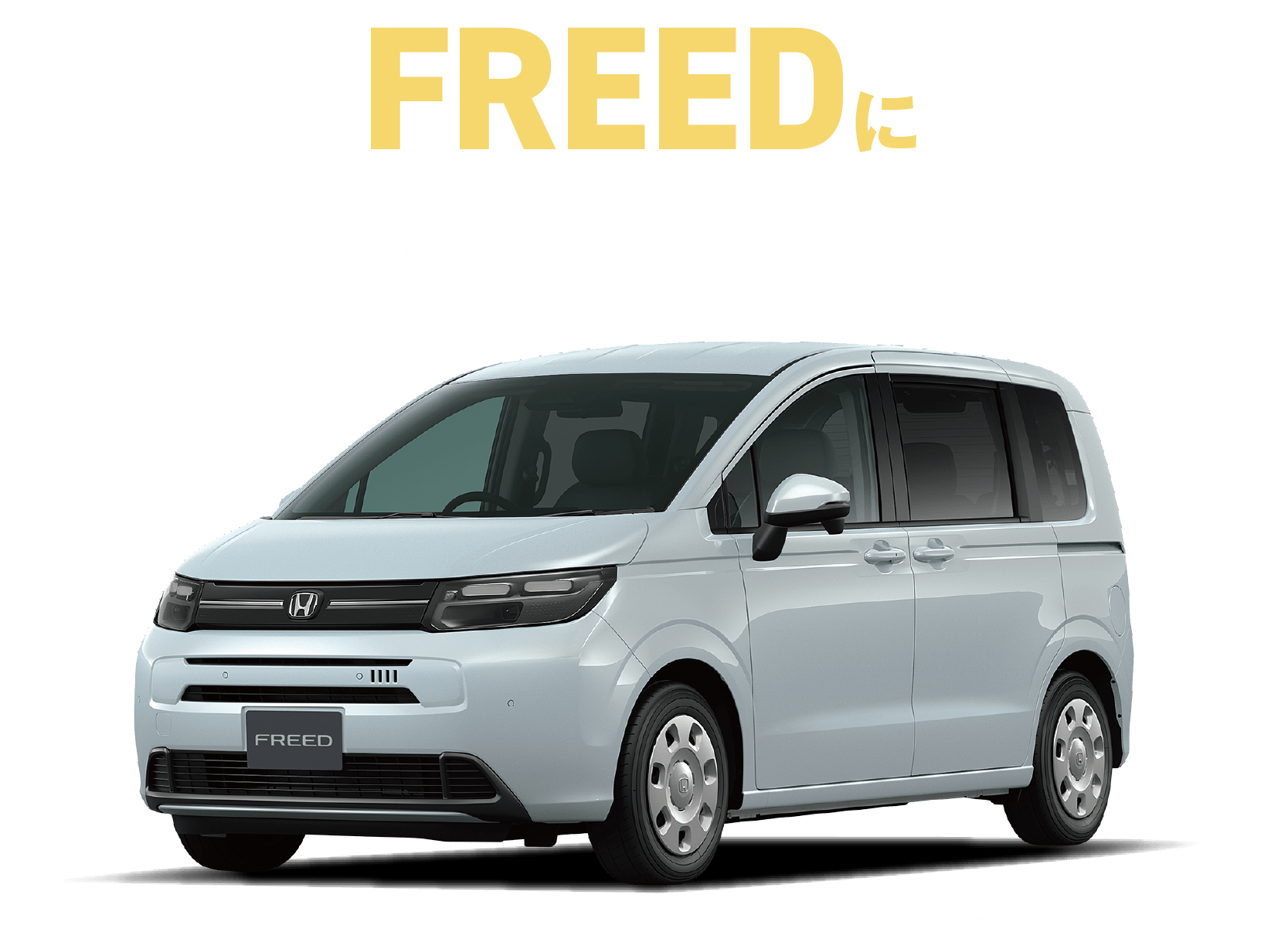 freedにうれしい特典！