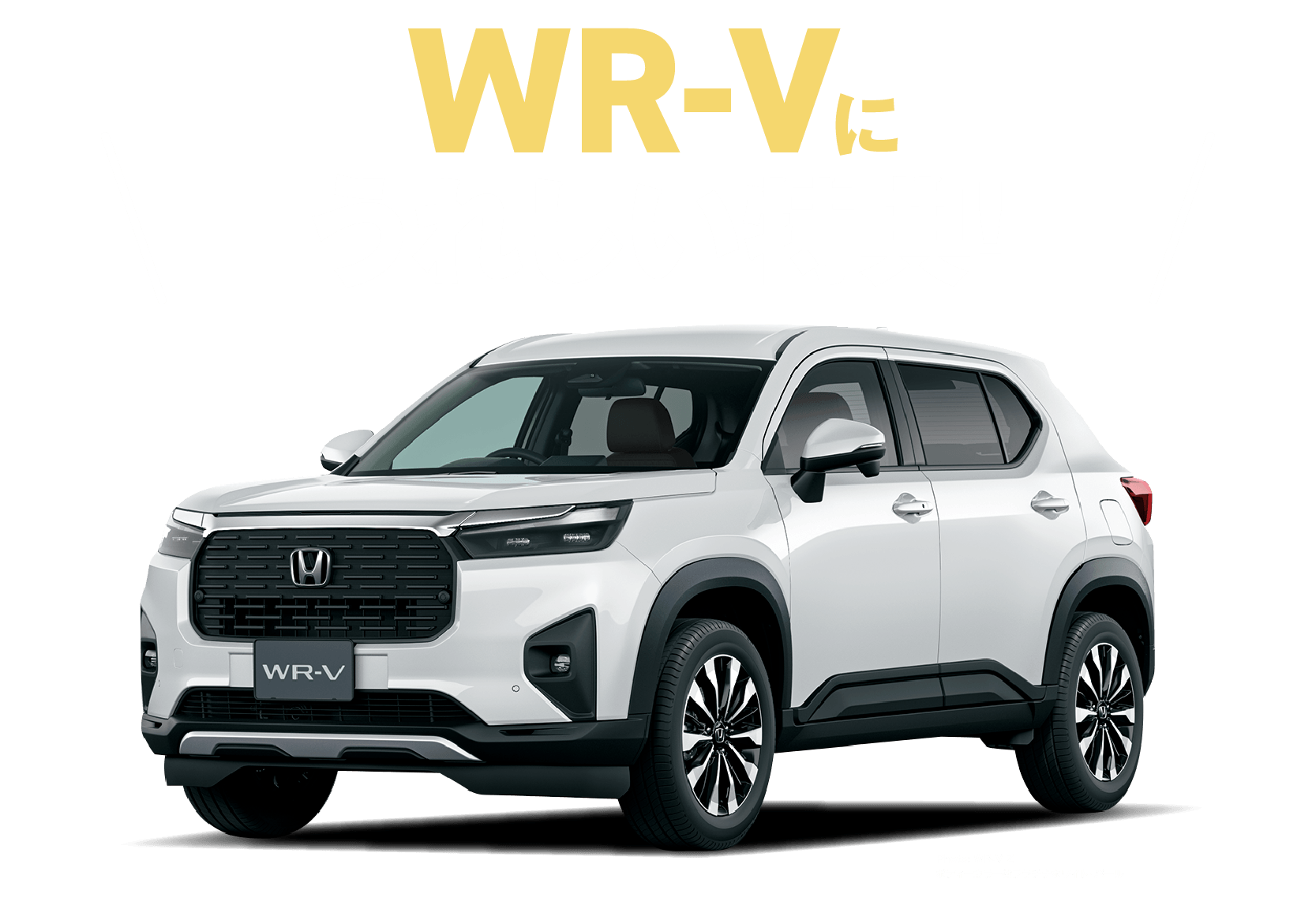 wr-vにうれしい特典！