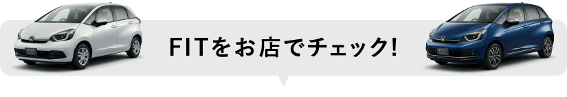 FITをお店でチェック！